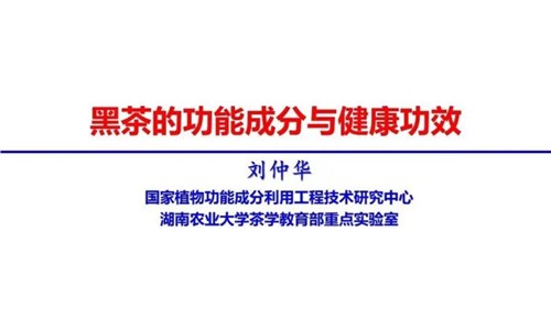 茶的功能成分與健康功效 | 茶、飲茶與健康