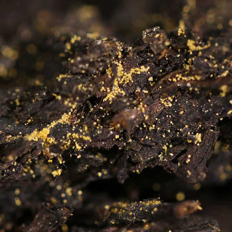 白沙溪安化黑茶金花獲磚特級(jí)御品獲茶318g